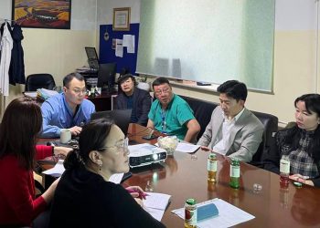 ДЭМЖЛЭГТ, ХЯНАЛТ ХИЙЛЭЭ