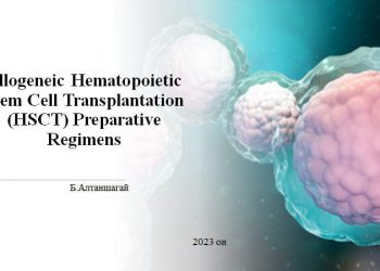 Цуврал хичээл зохион байгуулж байна